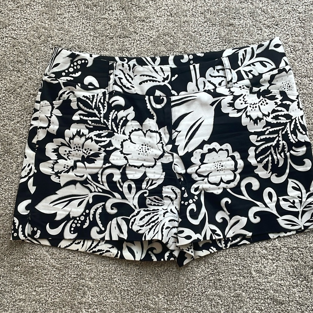White House Black Market Shorts